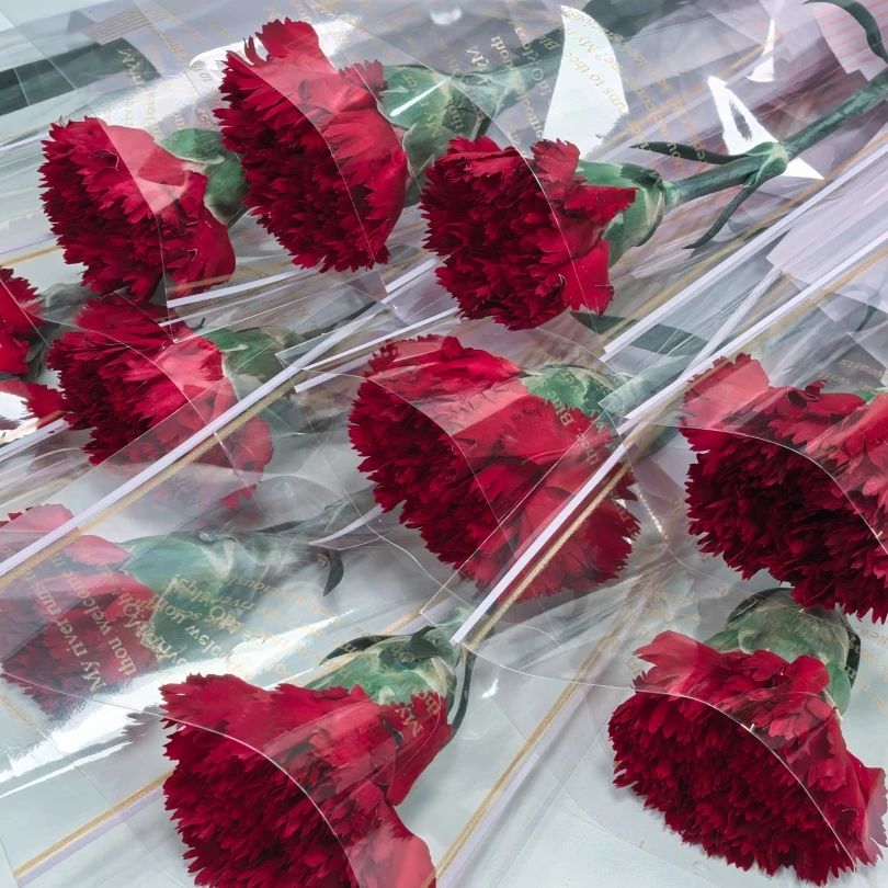 婦女節(jié) | 春風(fēng)如你，熠熠芳華